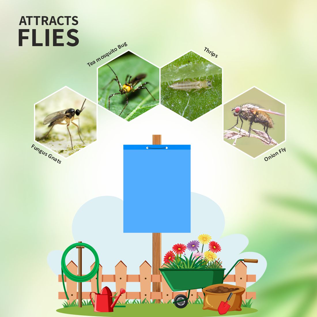 Blue PVC Sticky Trap( Size 22X28 Cm) To Control Thrips, Aphids & Whitefly Pack Of 10
