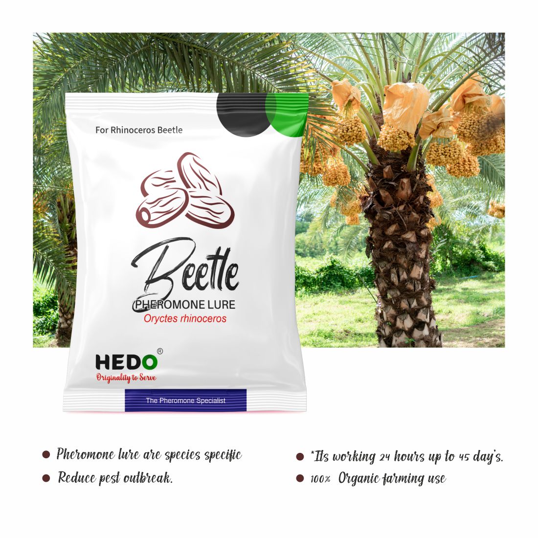 HEDO Beetle Lure Pack of 5| Pheromone Lure for Rhinoceros Beetle (Oryctes Rhinoceros) for Coconut & Palm Tree
