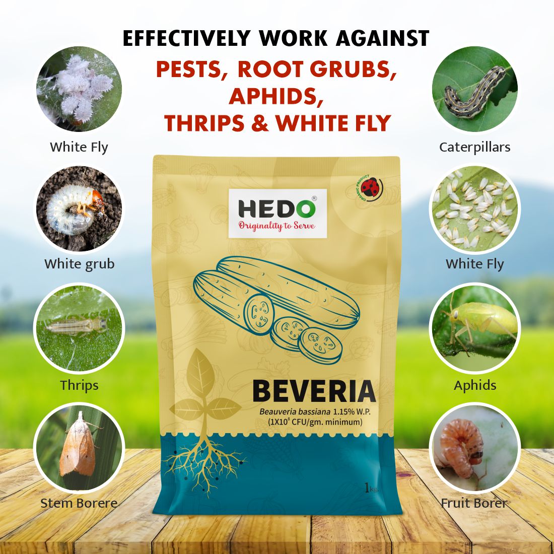 Beauveria Bassiana Powder(1x10^8 CFU/g) Bio-Organic(1Kg) For All Plants To control Aphids, Thrips & Whiteflies