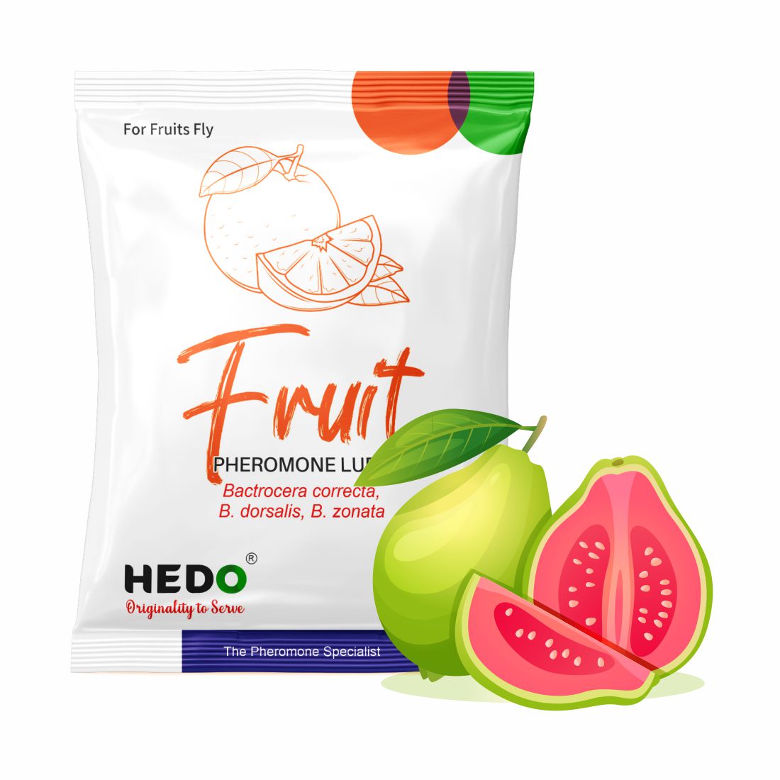 Fruit Fly Horizantal Pheromone Trap with Fruit Fly Lure(Bactrocera Dorsalis) for Fruit Crops Pack Of 10