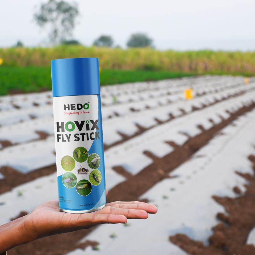 Hovix Fly Stick 425 ml Spray, Used to control Fruit Flies and All Sucking Pests