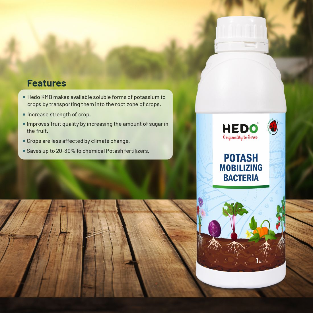 KMB/KSB (Potassium Solubilizing and Mobilizing Bacteria – KSB/KMB) Liquid (1L) Bio-fertilizer For Increase The Fruit Quality & Growth Of The Crops