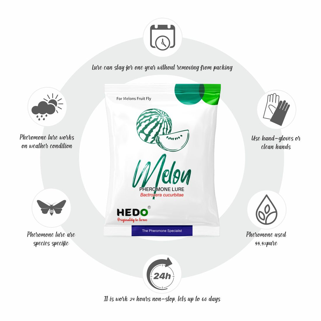 Melon Fly Pheromone Trap with Melon Lure for Vegetable Crop Pack of 10