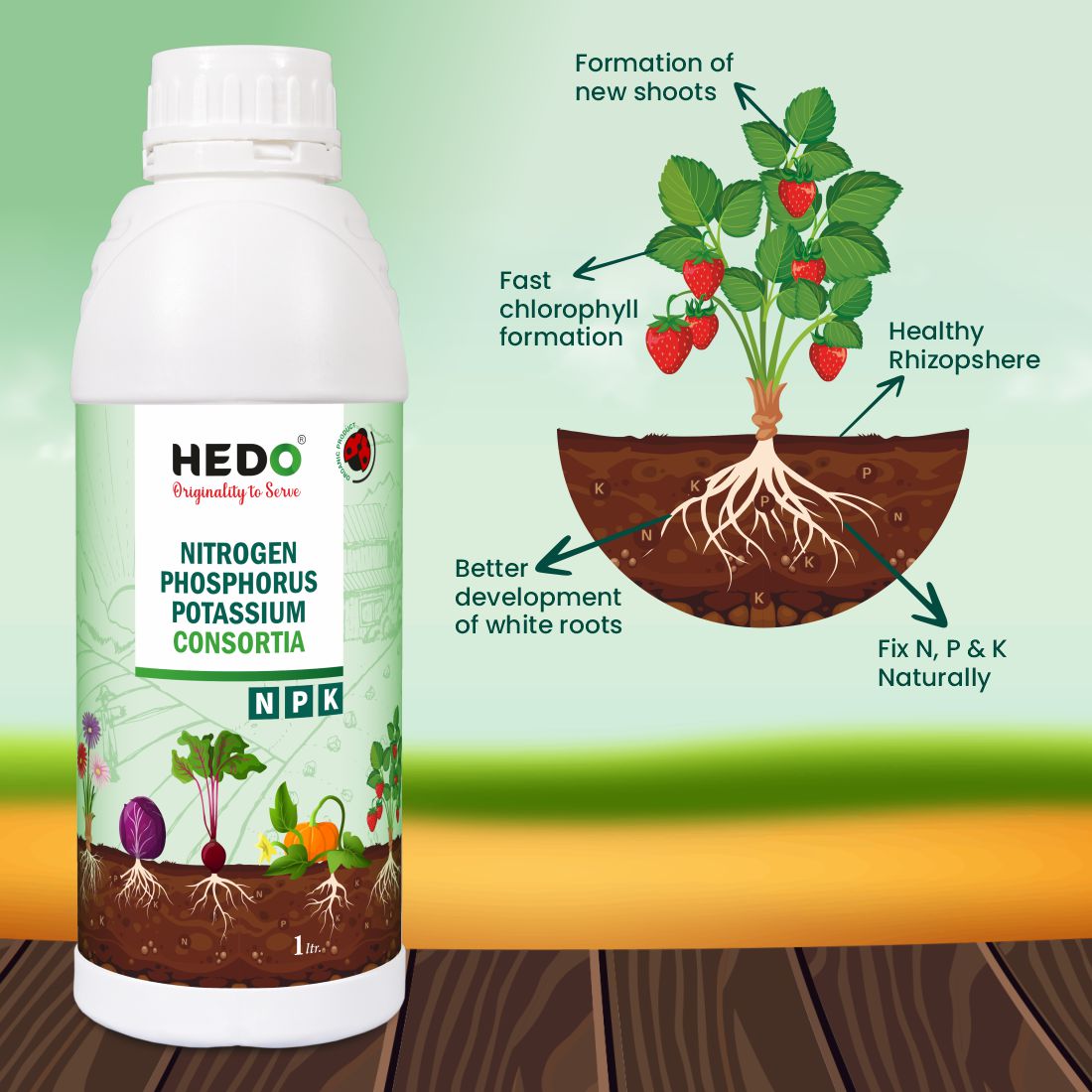NPK Consortia (Bacteria) Liquid (1L) Organic Bio Fertilizer For Agriculture, Garden, Soil Fertility, and Plant Nutrition.