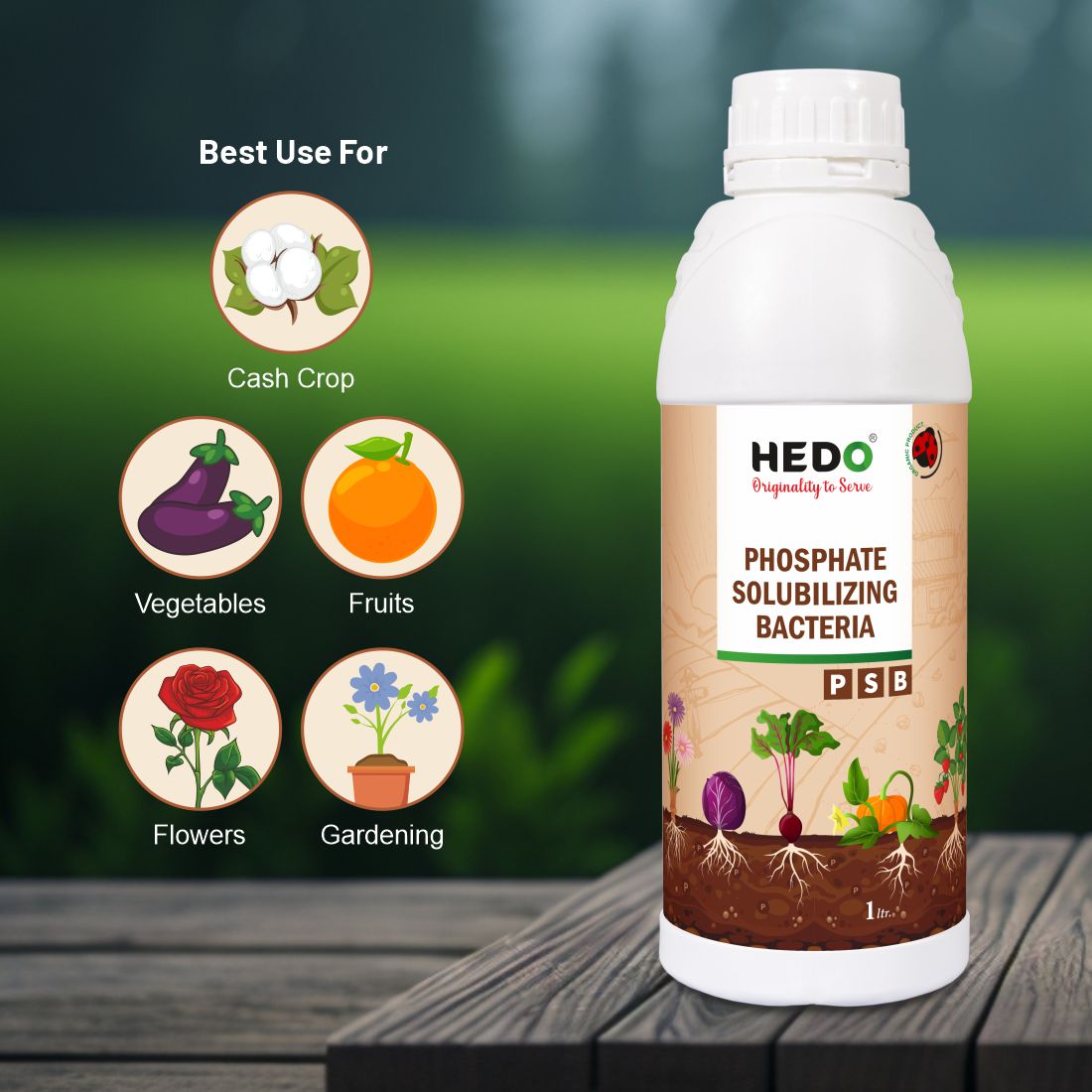 PSB (Phosphate Solubilizing Bacteria – PSB) Liquid (1L) Bio Fertilizers For Agriculture, Garden, Soil Fertility, and Plant Nutrition.