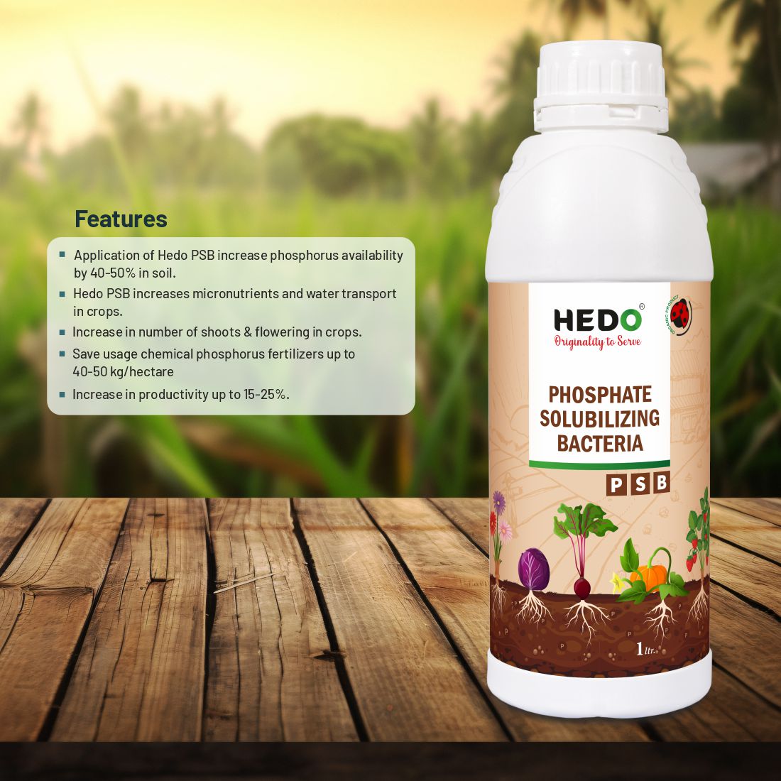PSB (Phosphate Solubilizing Bacteria – PSB) Liquid (1L) Bio Fertilizers For Agriculture, Garden, Soil Fertility, and Plant Nutrition.