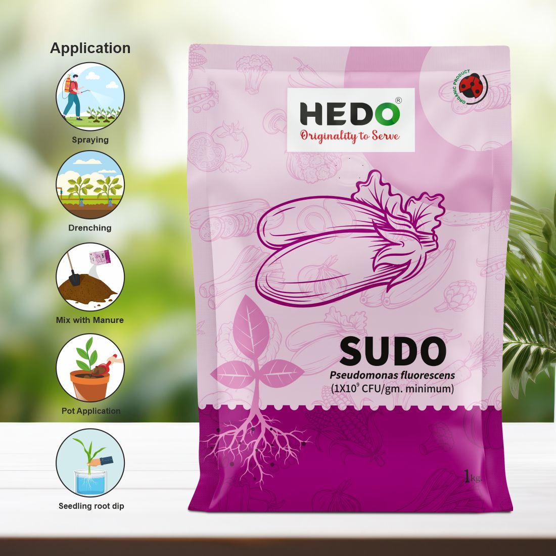 Pseudomonas fluorescence(1X10^9CFU/gm) Powder(1Kg) To control plant Fungal & Soil borne disease