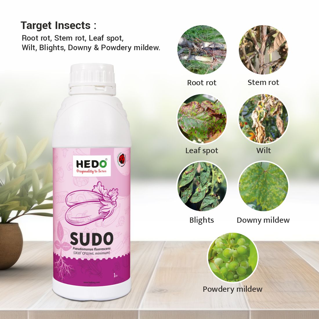 Pseudomonas fluorescence(1X10^9CFU/ml) Liquid (1L) To control plant Fungal & Soil borne disease