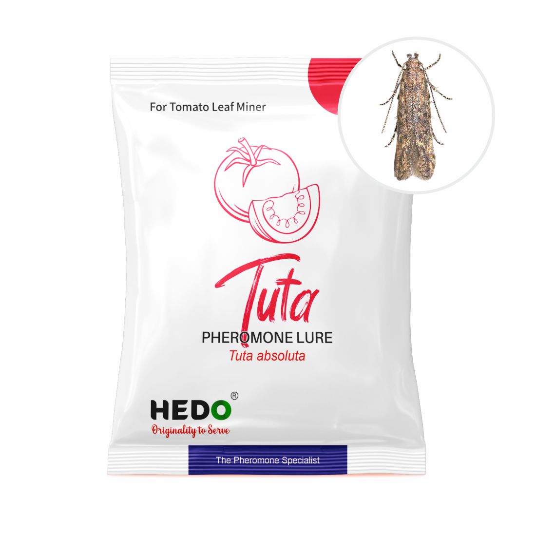 Pheromone Trap for Tomato Leafminer(Tuta absoluta)with Delta Trap Pack of 5
