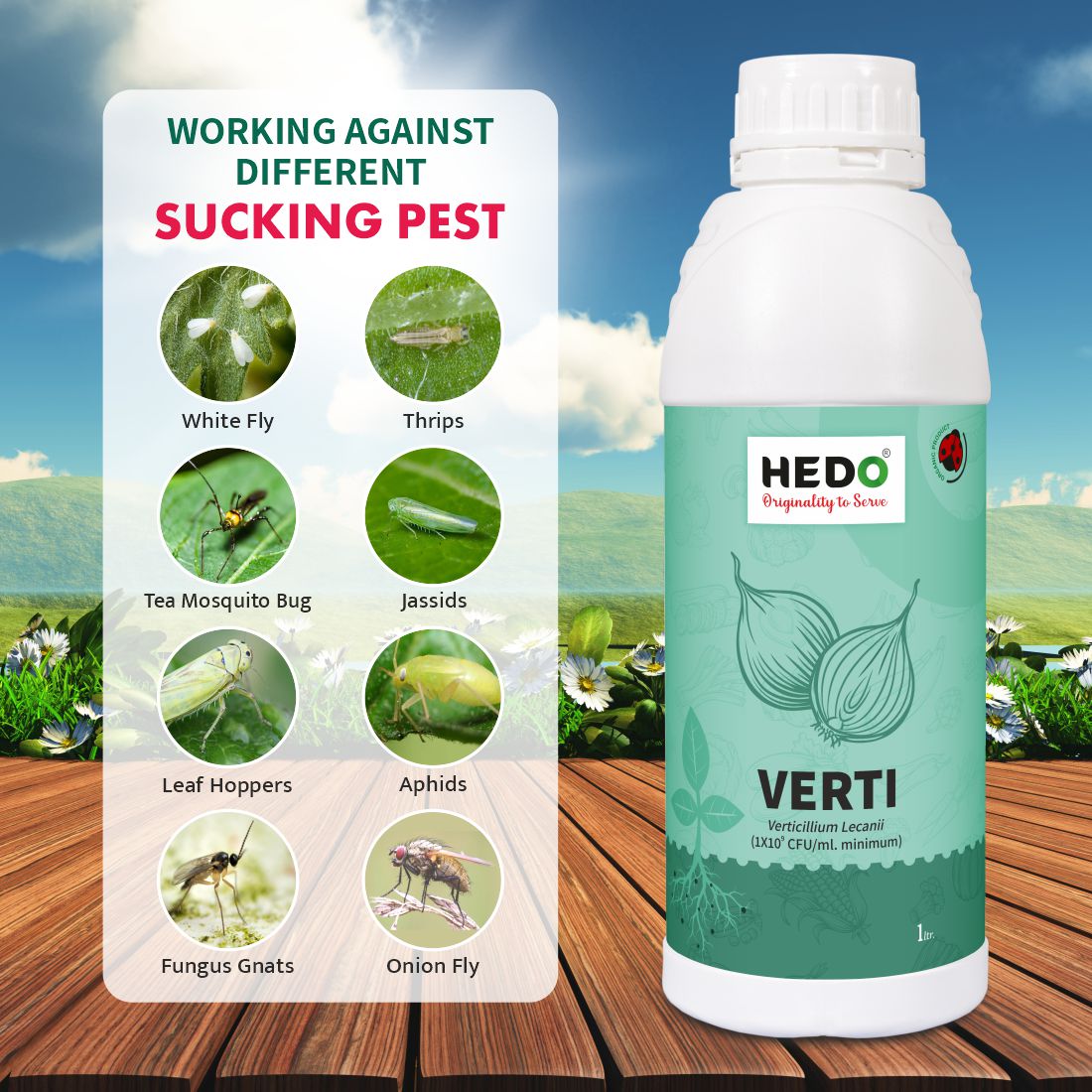 Verticillium Lecanii Liquid(1X10^8 CFU/ml) Bio-Organic (1L) For Plants & Crops - Against Sucking Insects Like Aphids, Thrips And Whiteflies