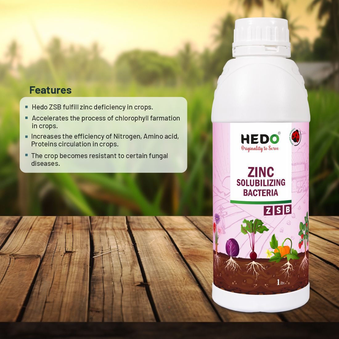 Zinc Solubilizing Bacteria Bio Fertilizer - ZSB Liquid (1L) for All Plants and Home Garden Eco-Friendly