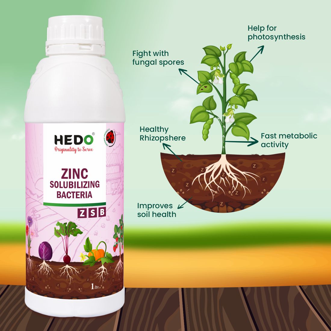 Zinc Solubilizing Bacteria Bio Fertilizer - ZSB Liquid (1L) for All Plants and Home Garden Eco-Friendly