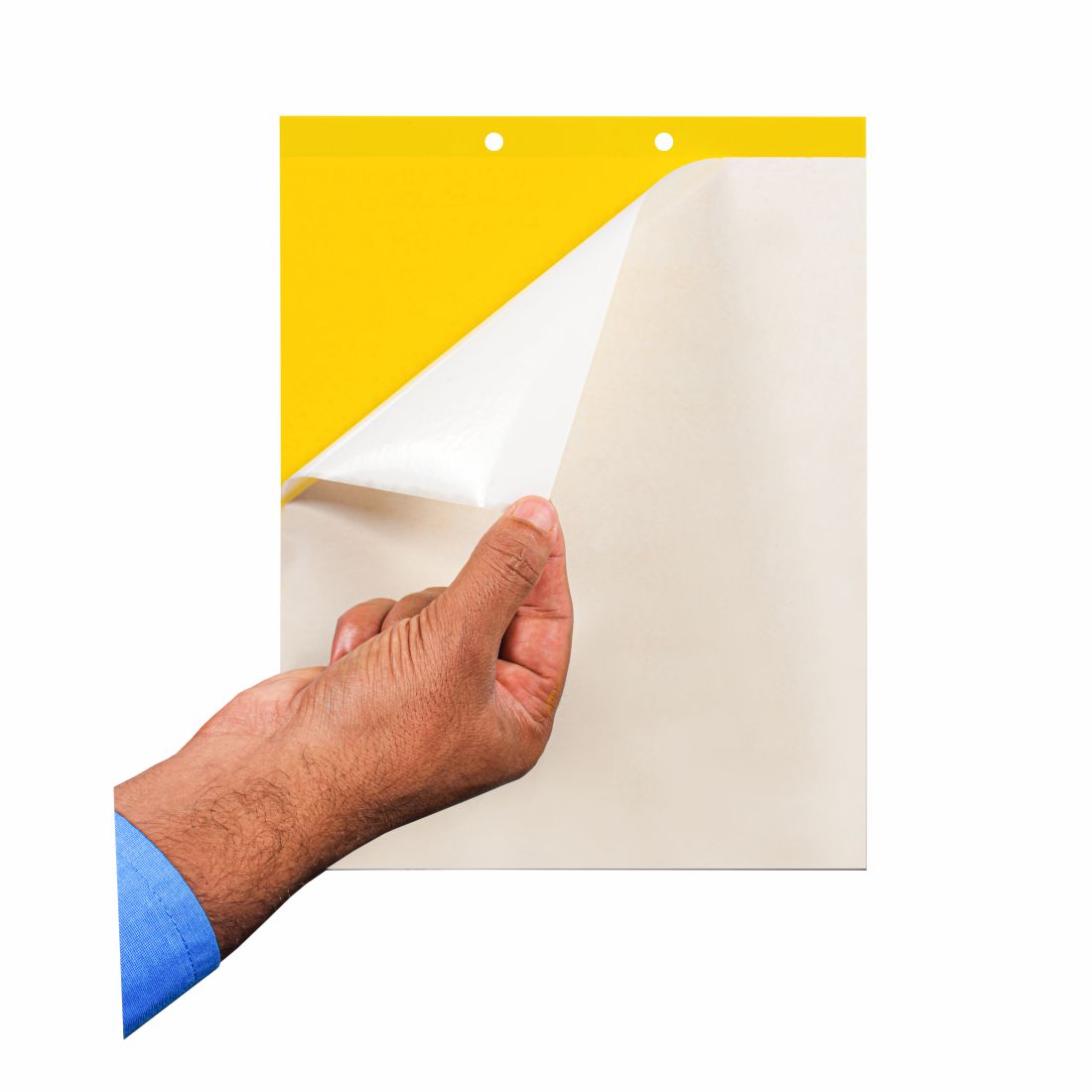 Yellow PVC Sticky Trap (Size 22X 28Cm ) To Control Thrips, Aphids & Whitefly Pack Of 10