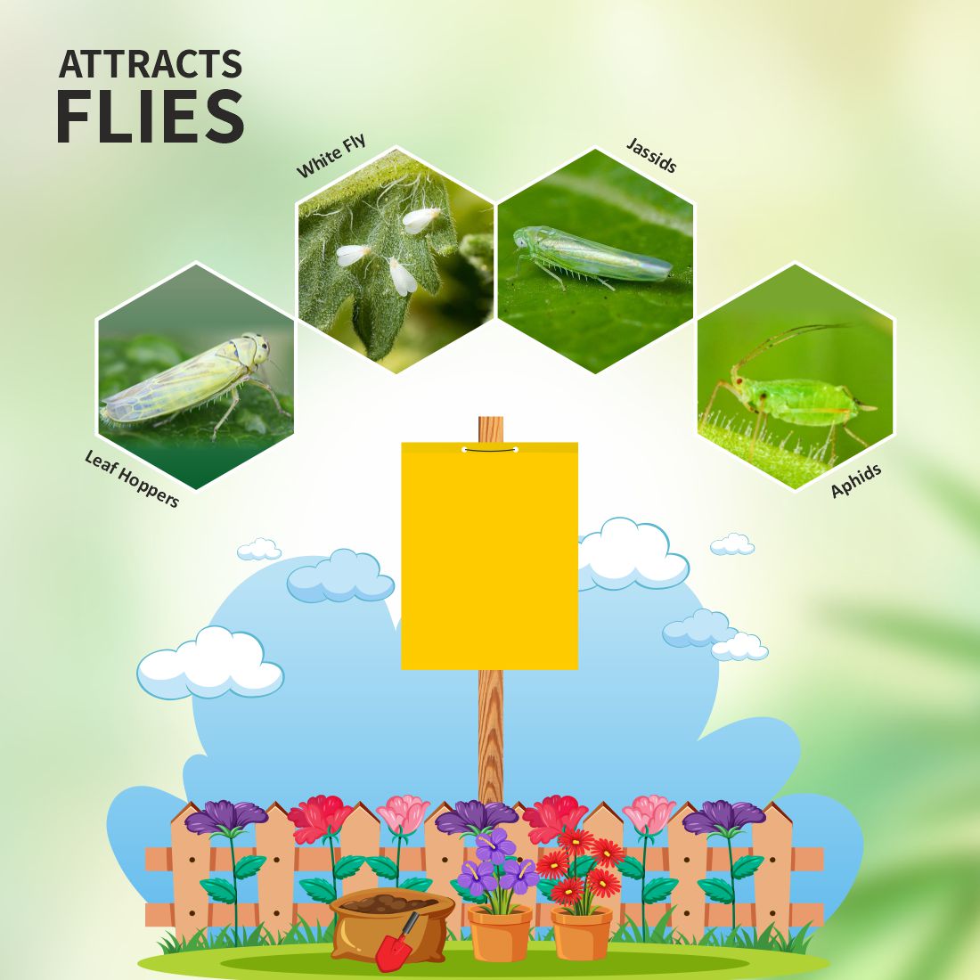 Yellow PVC Sticky Trap (Size 22X 28Cm ) To Control Thrips, Aphids & Whitefly Pack Of 10