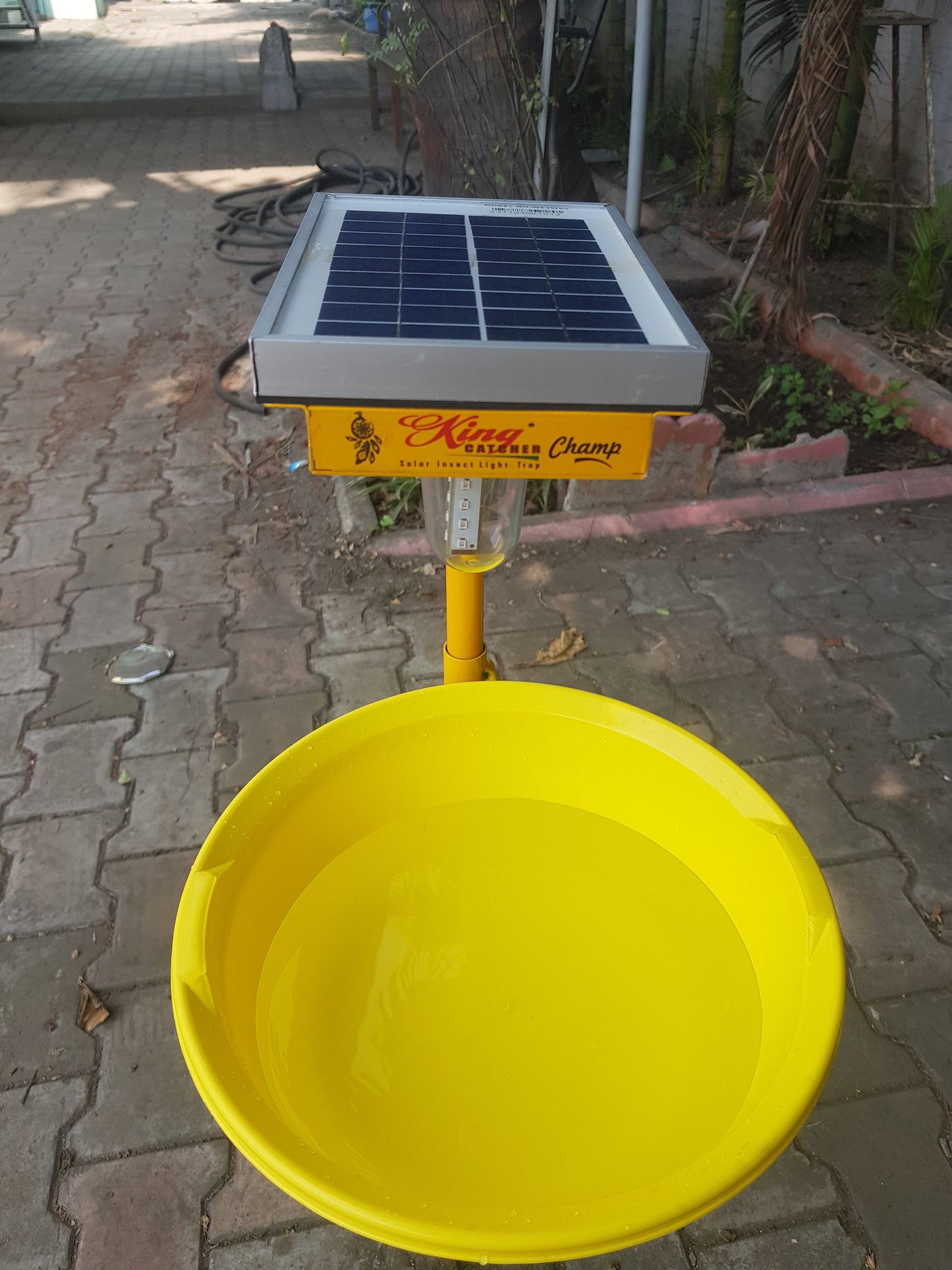 Solar Minichargeble Insect Light Pheromone Trap Totally Automatic Portable Easy To Control Flying Insect