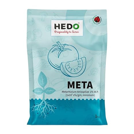 Metarhizium Anisopliae powder (1x10^8 CFU/gm) Bio-Organic (1Kg) For Plants To Control All Beetles, Weevils, White Grubs, Aphids, Thrips