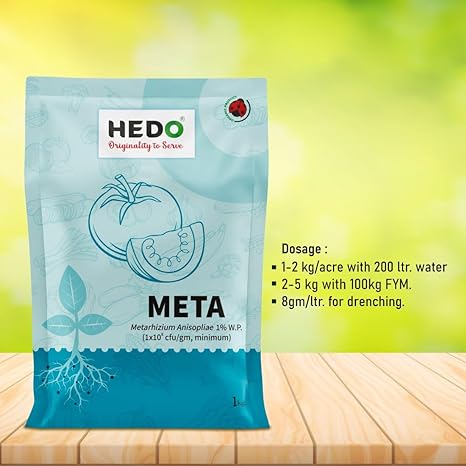 Metarhizium Anisopliae powder (1x10^8 CFU/gm) Bio-Organic (1Kg) For Plants To Control All Beetles, Weevils, White Grubs, Aphids, Thrips
