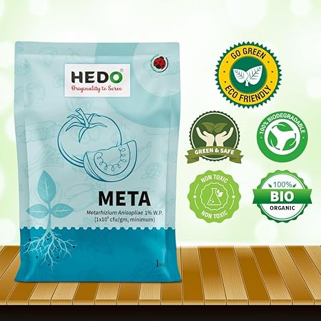 Metarhizium Anisopliae powder (1x10^8 CFU/gm) Bio-Organic (1Kg) For Plants To Control All Beetles, Weevils, White Grubs, Aphids, Thrips