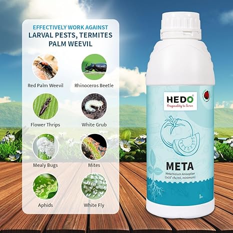 Metarhizium Anisopliae Liquid (1x10^9 CFU/ml) Bio-Organic (1L) For Plants To Control All Beetles, Weevils, White Grubs, Aphids, Thrips