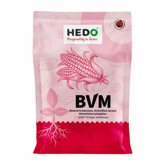 BVM (1X 10^9 CFU/gm) Organic Powder (1Kg) - Beauveria bassiana + Verticillum Lecanii + Metarhizium Anisopliae is consortia To Control Insect
