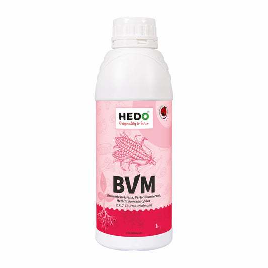 BVM (1X10^9 CFU/ml) Organic Liquid (1L) - Beauveria bassiana + Verticillum Lecanii + Metarhizium Anisopliae is consortia To Control Insect