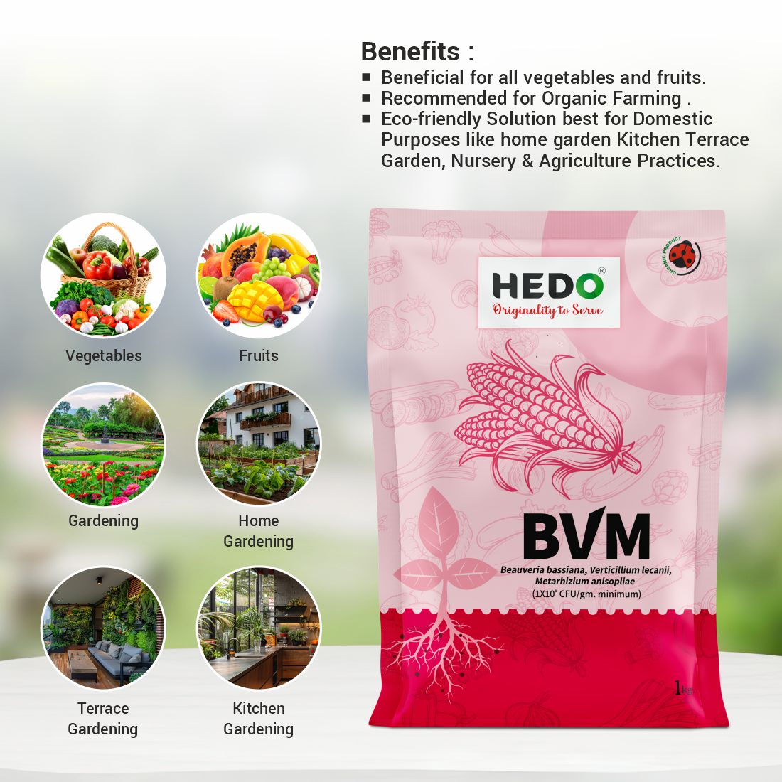 BVM (1X 10^9 CFU/gm) Organic Powder (1Kg) - Beauveria bassiana + Verticillum Lecanii + Metarhizium Anisopliae is consortia To Control Insect