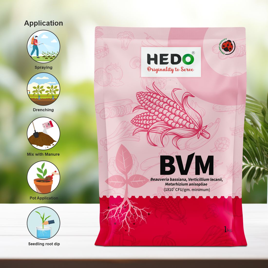 BVM (1X 10^9 CFU/gm) Organic Powder (1Kg) - Beauveria bassiana + Verticillum Lecanii + Metarhizium Anisopliae is consortia To Control Insect