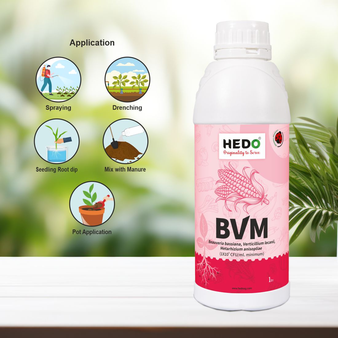BVM (1X10^9 CFU/ml) Organic Liquid (1L) - Beauveria bassiana + Verticillum Lecanii + Metarhizium Anisopliae is consortia To Control Insect