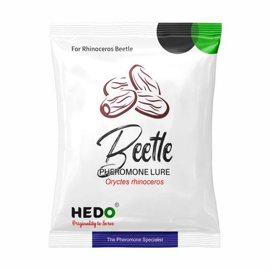 HEDO Beetle Lure Pack of 5| Pheromone Lure for Rhinoceros Beetle (Oryctes Rhinoceros) for Coconut & Palm Tree