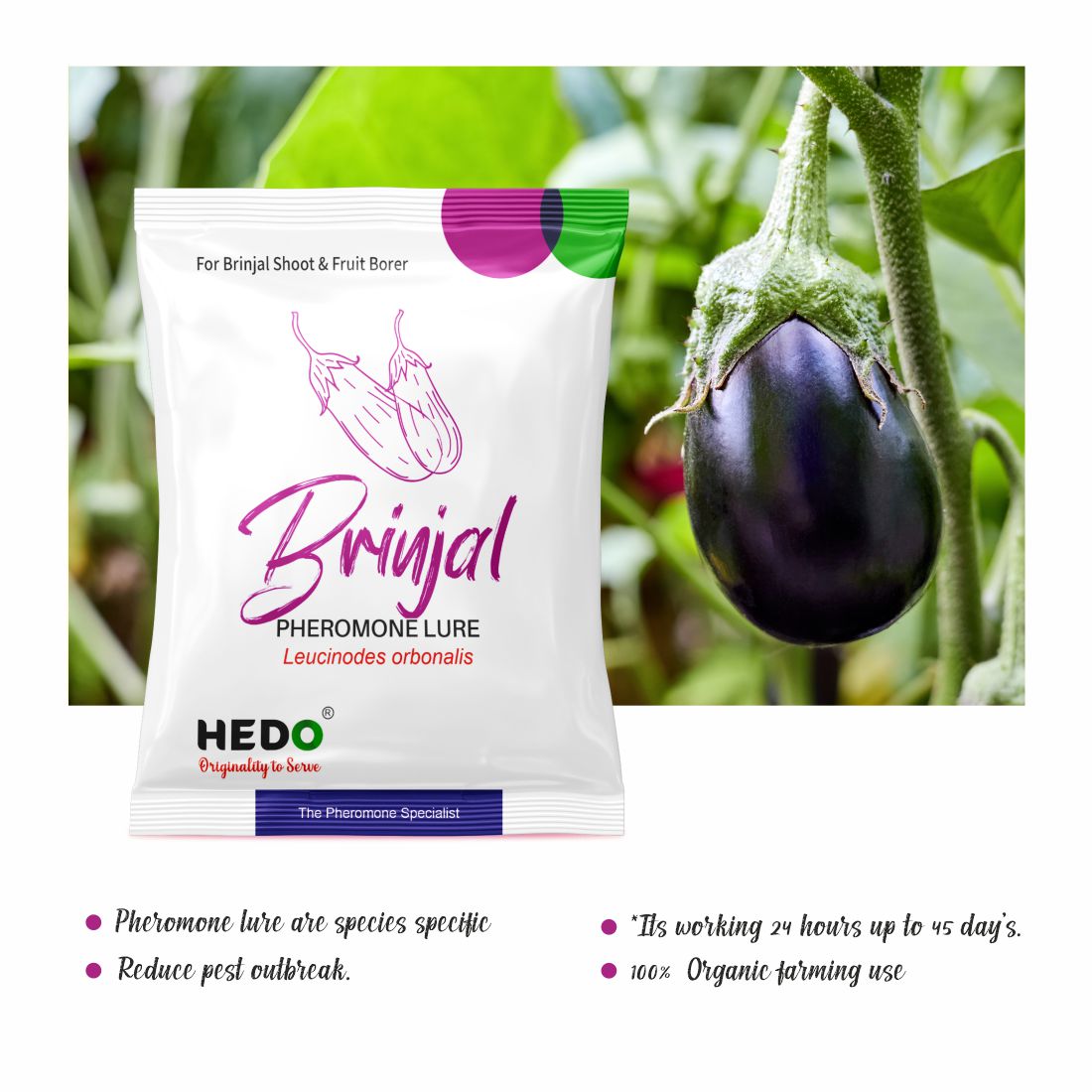 Funnel Trap with Brinjal pheromone Lure(Leucinodes orbonalis)Combo Set Pack of 10
