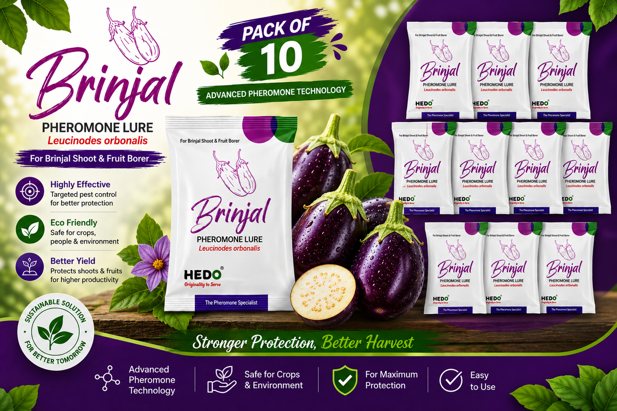 HEDO Brinjal Fruit & Shoot Borer Pheromone Lure Pack of 10 | Eggplant Pheromone Trap Lure for Leucinodes orbonalis | Eco-Friendly Pest Monitoring & Control