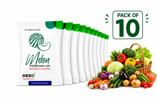 HEDO Melon Fly Lure (Bactrocera cucurbitae) Pack of 10 | Eco-Friendly Pheromone Lure for Effective Melon Fly Monitoring & Control in All Vegetable Crops