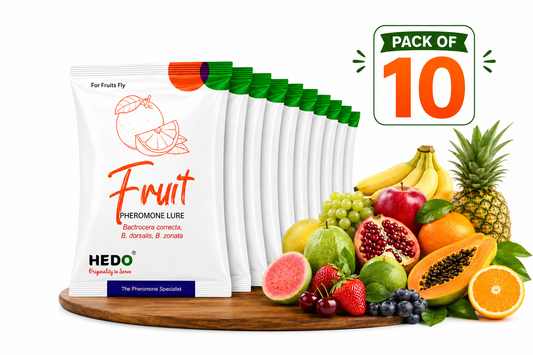 HEDO Fruit Fly Pheromone Lure (Bactrocera correcta, Bactrocera zonata & Bactrocera dorsalis) Pack of 10 | Fruit Fly Trap Lure for Mango, Guava & All  Fruit Crops | Eco-Friendly Pest Monitoring