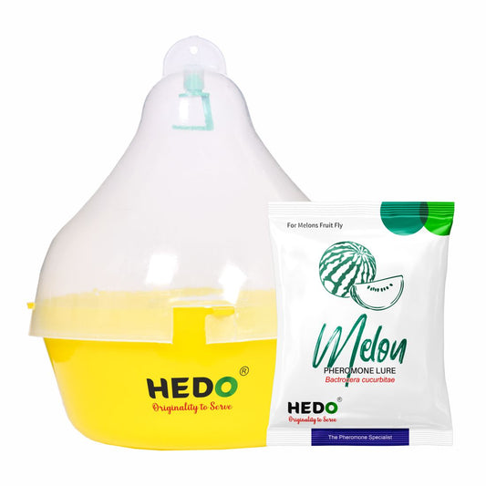 Melon Fly Pheromone Trap with Melon Lure for Vegetable Crop Pack of 10