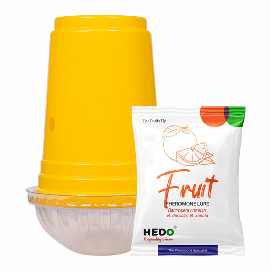 Fruit Fly Yellow IPM Trap With Fruit Fly Lure (Bactrocera Dorsalis) For All Fruits Pack of 5