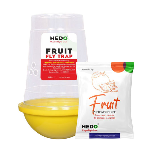 Fruit Fly IPM Trap With Fruit Fly Lure (Bactrocera Dorsalis) For All Fruits Pack of 5