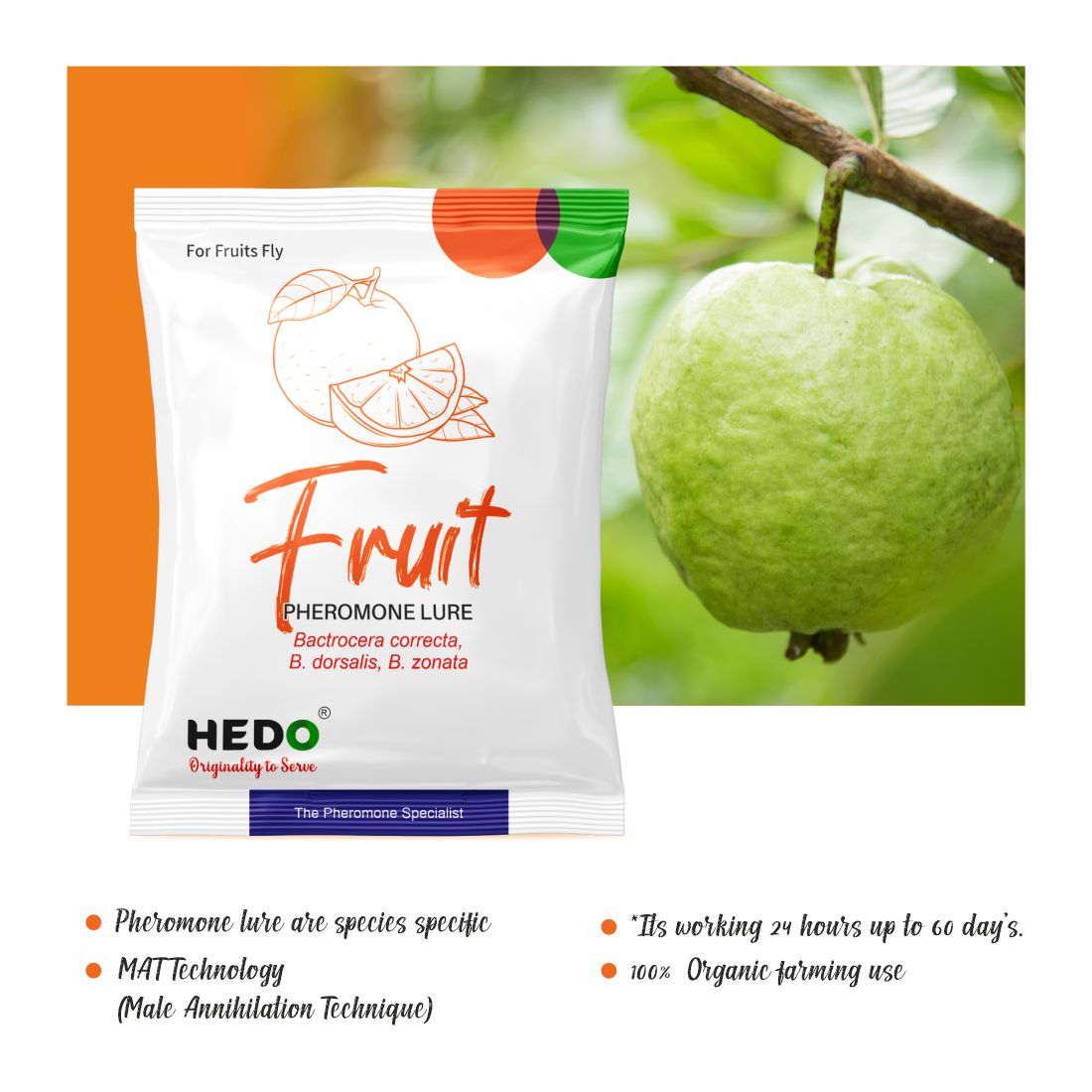 Fruit Fly Horizantal Pheromone Trap with Fruit Fly Lure(Bactrocera Dorsalis) for Fruit Crops Pack Of 10