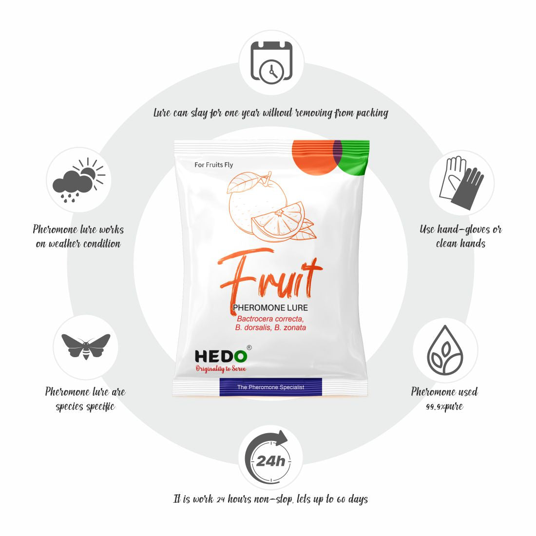 Fruit Fly Horizantal Pheromone Trap with Fruit Fly Lure(Bactrocera Dorsalis) for Fruit Crops Pack Of 10