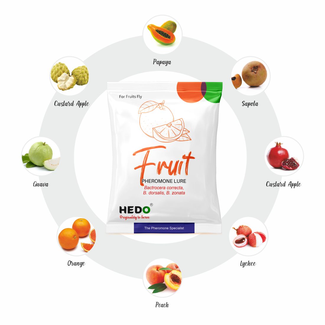 Fruit Fly Horizantal Pheromone Trap with Fruit Fly Lure(Bactrocera Dorsalis) for Fruit Crops Pack Of 10