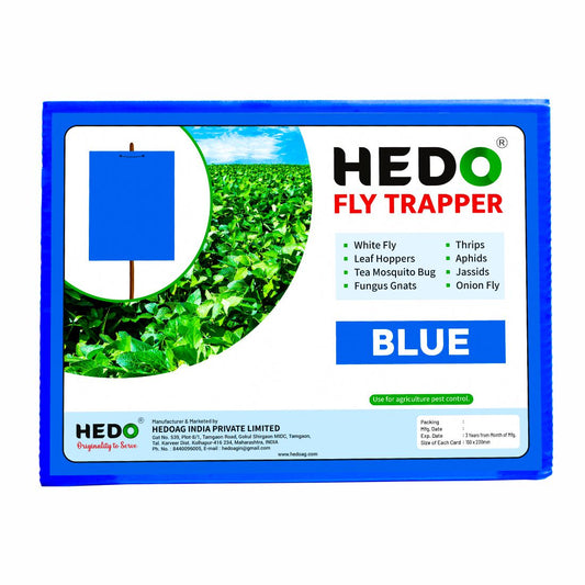 Eco Blue Sticky Trap Size A5,150mm* 200mm Pack of 1 (25 Pieces)