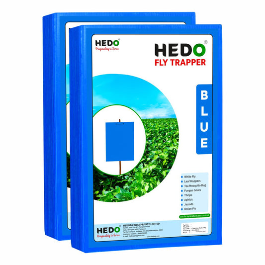 Eco Blue Sticky Trap size A4, 200mm*300mm Pack of 2 (50 Pieces)