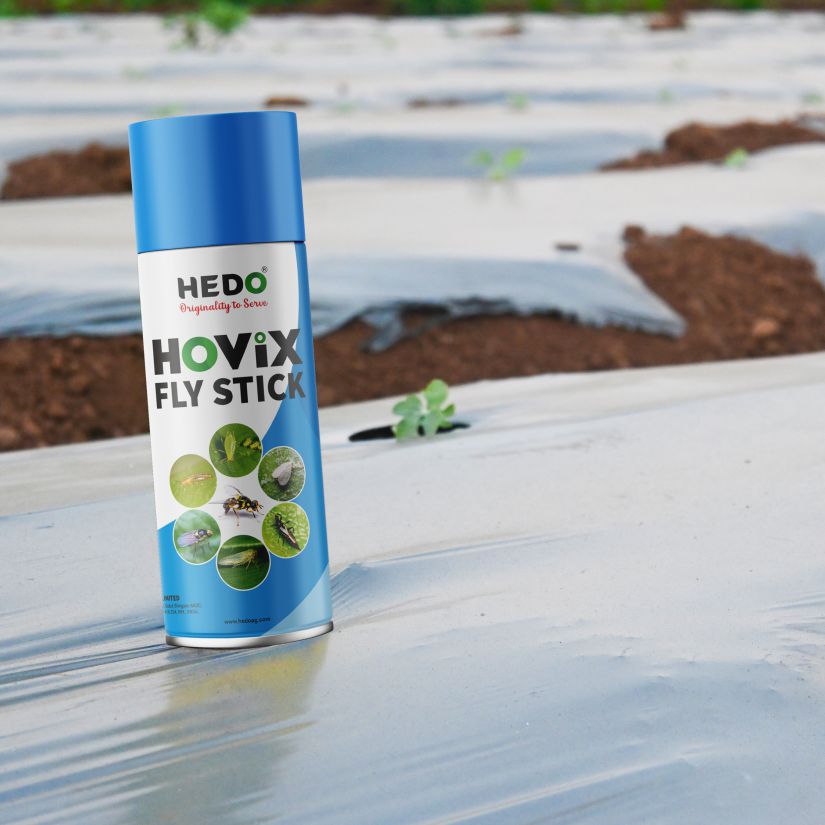 Hovix Fly Stick 425 ml Spray, Used to control Fruit Flies and All Sucking Pests