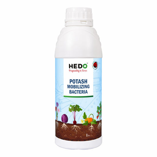 KMB/KSB (Potassium Solubilizing and Mobilizing Bacteria – KSB/KMB) Liquid (1L) Bio-fertilizer For Increase The Fruit Quality & Growth Of The Crops