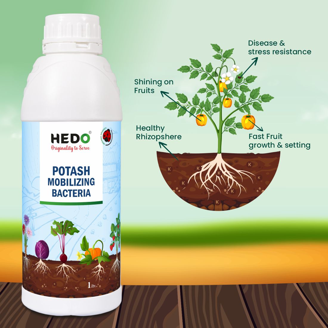KMB/KSB (Potassium Solubilizing and Mobilizing Bacteria – KSB/KMB) Liquid (1L) Bio-fertilizer For Increase The Fruit Quality & Growth Of The Crops