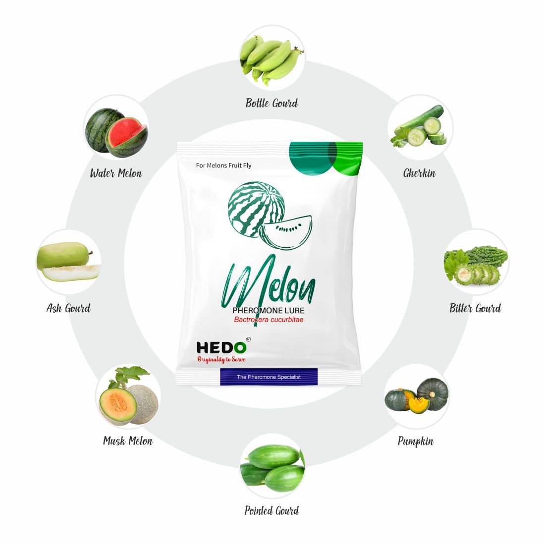 Melon Fruit Fly Yellow IPM Trap With Melon Lure (Bactrocera Cucurbitae) For All Vegetables Pack of 10