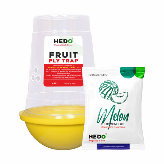 Melon Fruit Fly IPM Trap With Melon Lure (Bactrocera Cucurbitae) For All Vegetables Pack of 2