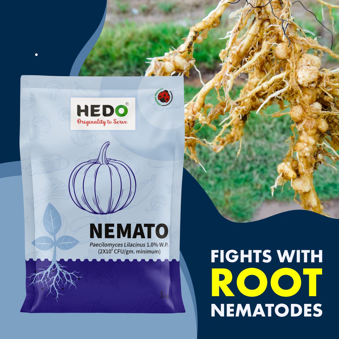 Nemato Powder(Pacilomyces Lilacinus 2x10^8 CFU/gm)Bio-Organic(1Kg)For All Fruit,vegitable & Crops Against Various Nematod