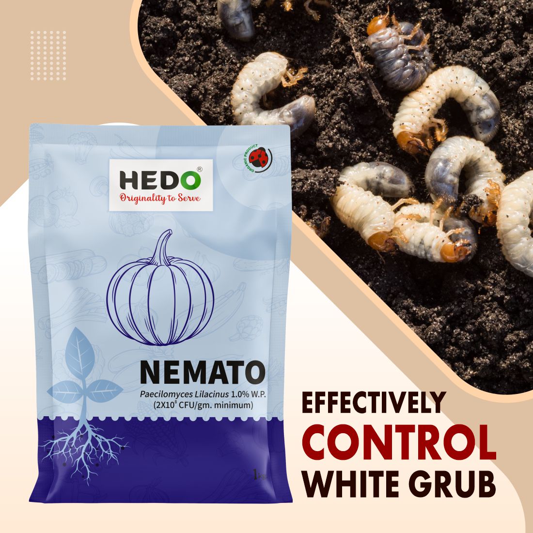 Nemato Powder(Pacilomyces Lilacinus 2x10^8 CFU/gm)Bio-Organic(1Kg)For All Fruit,vegitable & Crops Against Various Nematod