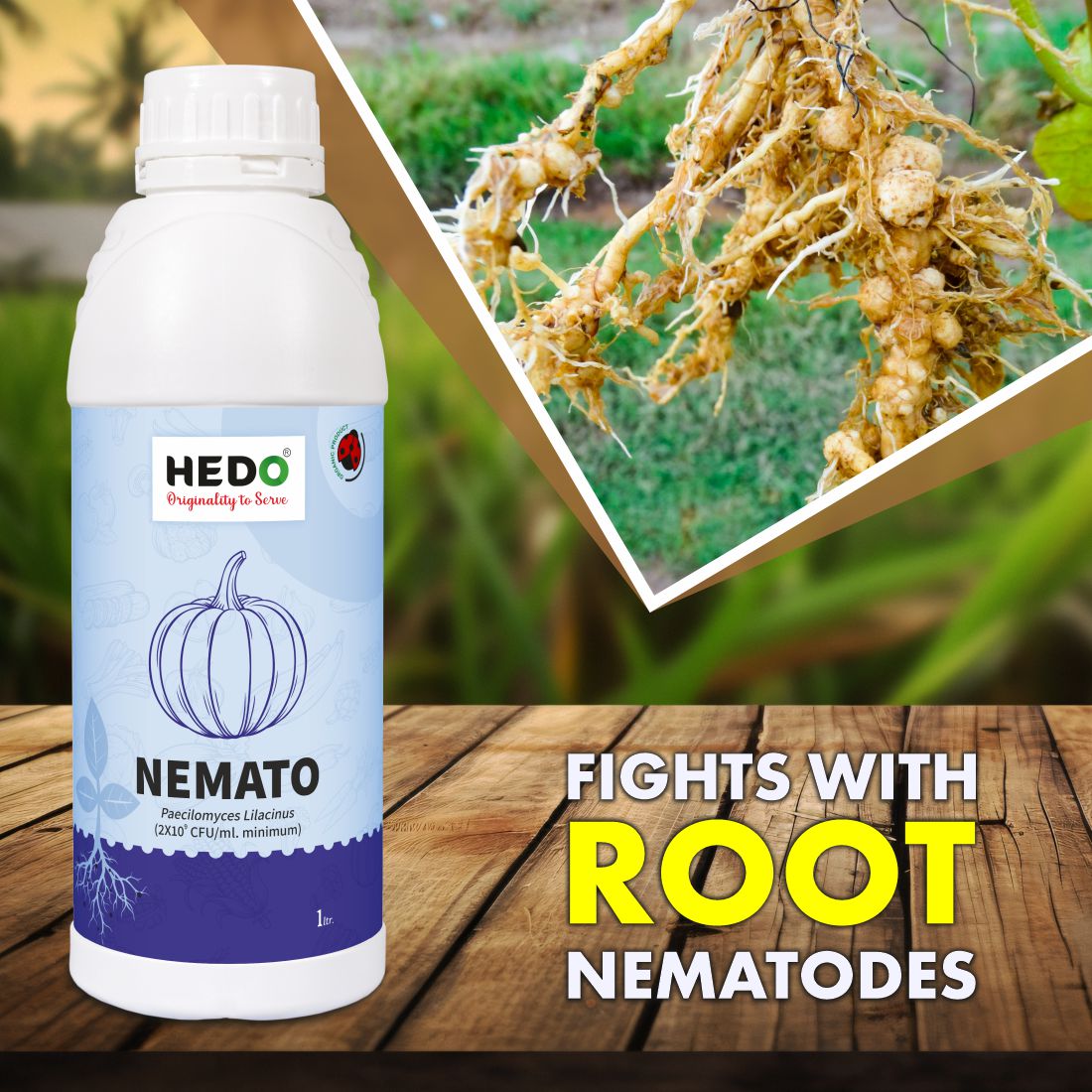 Nemato Liquid(Pacilomyces Lilacinus 2x10^9 CFU/ml)Bio-Organic(1L)For All Fruit, vegitable & Crops Against Various Nematod