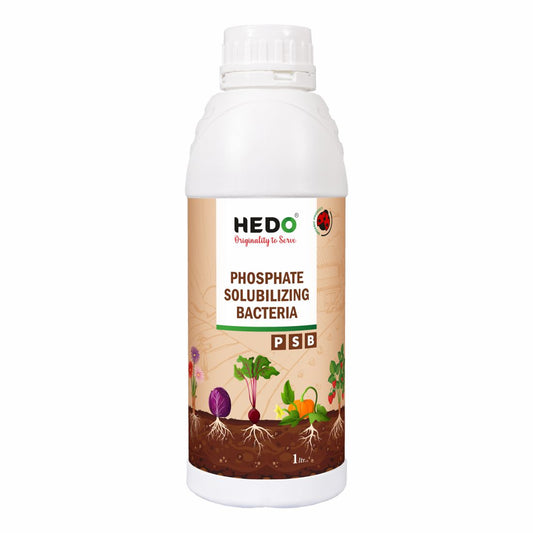 PSB (Phosphate Solubilizing Bacteria – PSB) Liquid (1L) Bio Fertilizers For Agriculture, Garden, Soil Fertility, and Plant Nutrition.